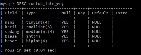 Tipe Data Integer Pada MySQL